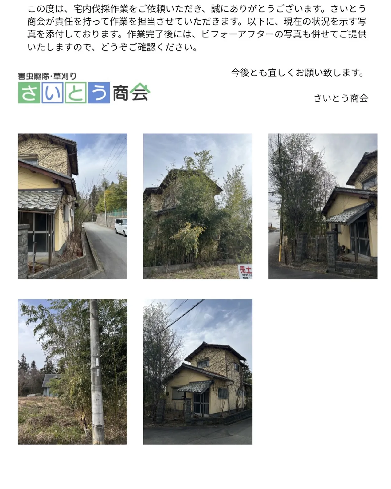 お庭、外周の伐採のご依頼です。