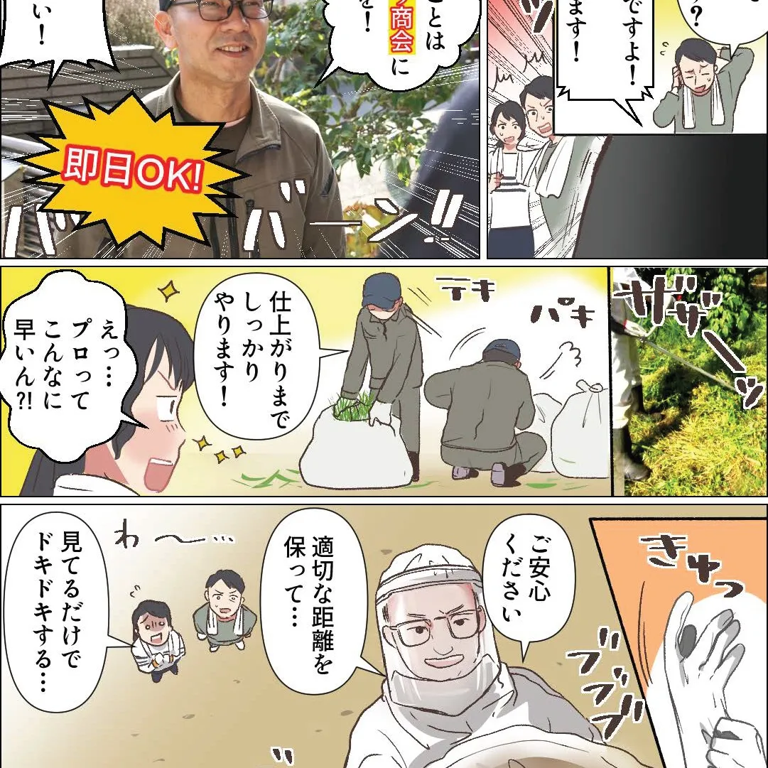 「草が伸びすぎて手がつけられない…」