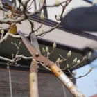 プライバシーポリシー