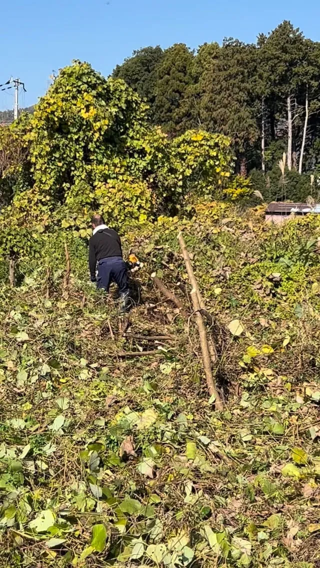 🌿今回ご依頼いただいたのは、なんと約2500㎡という広大な草...