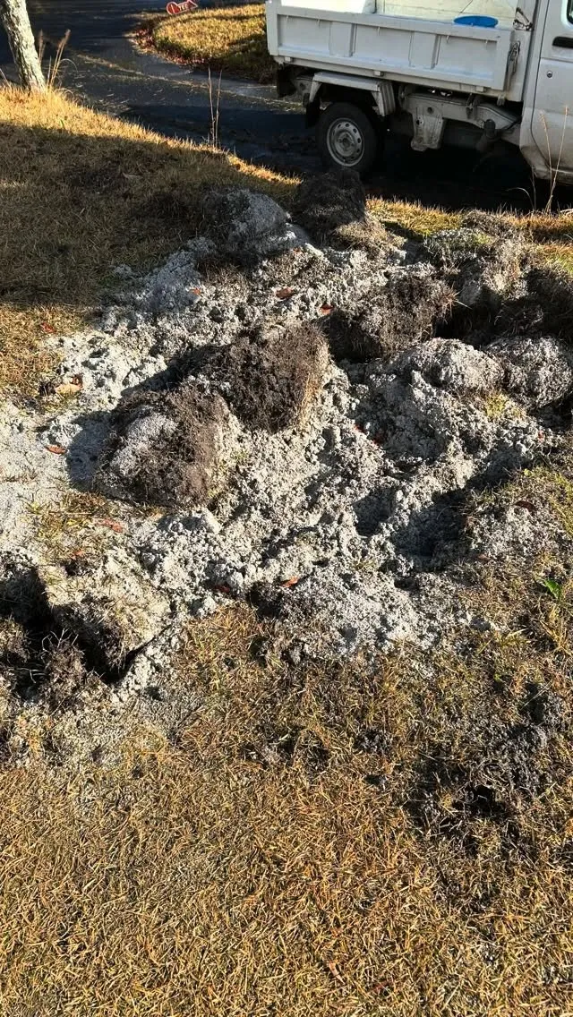 🌿 今日のお仕事！朽木ゴルフコース管理