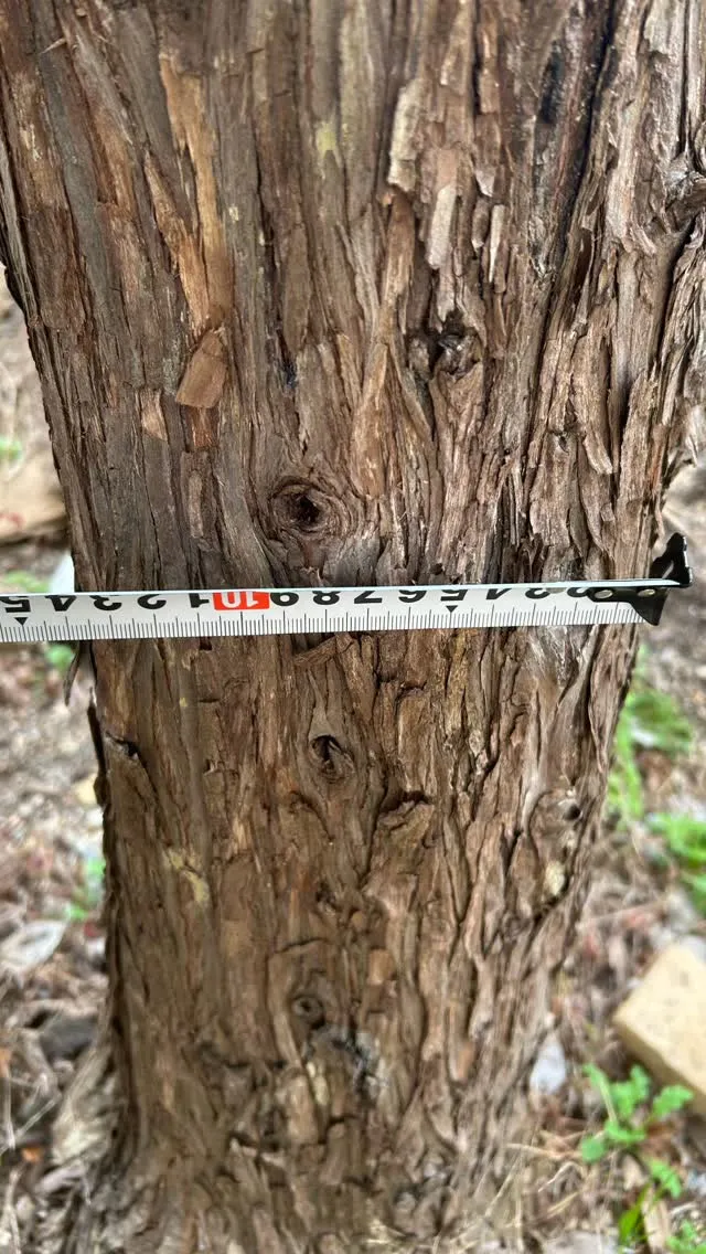 お見積り依頼をいただきました！