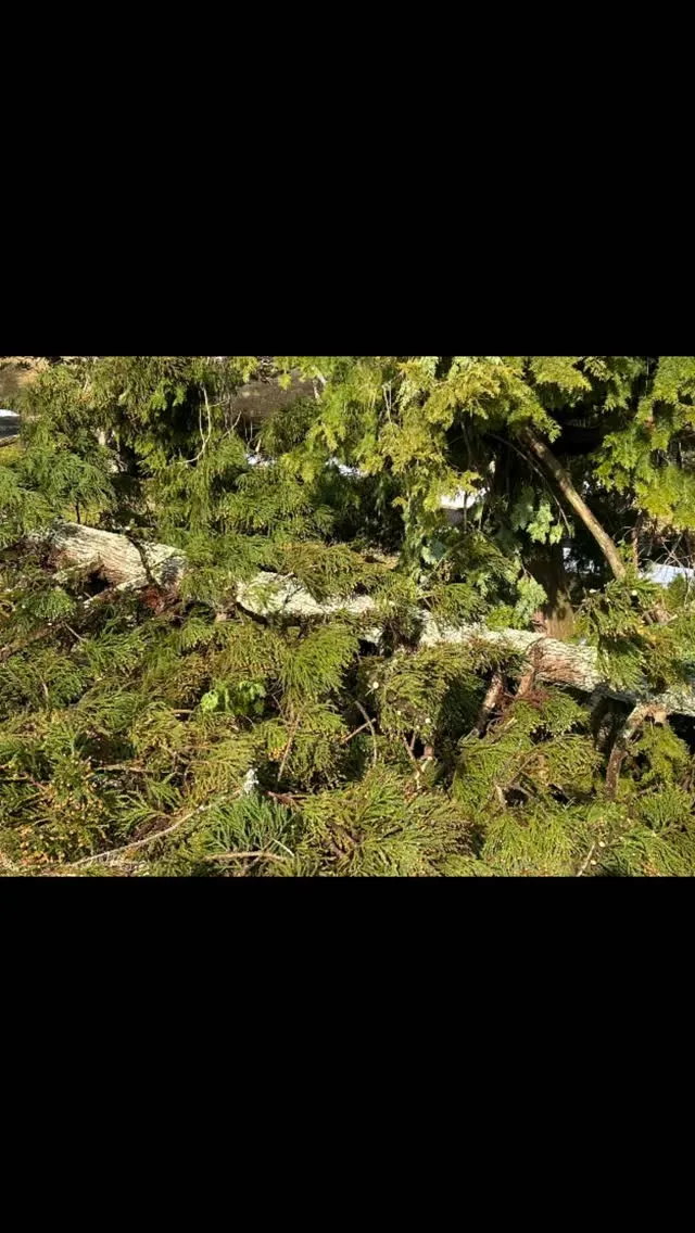 今日は暖かい1日でした。