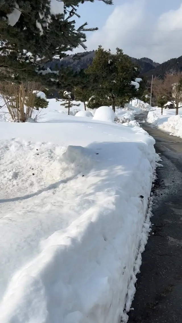 朽木ゴルフクラブは雪に覆われております。