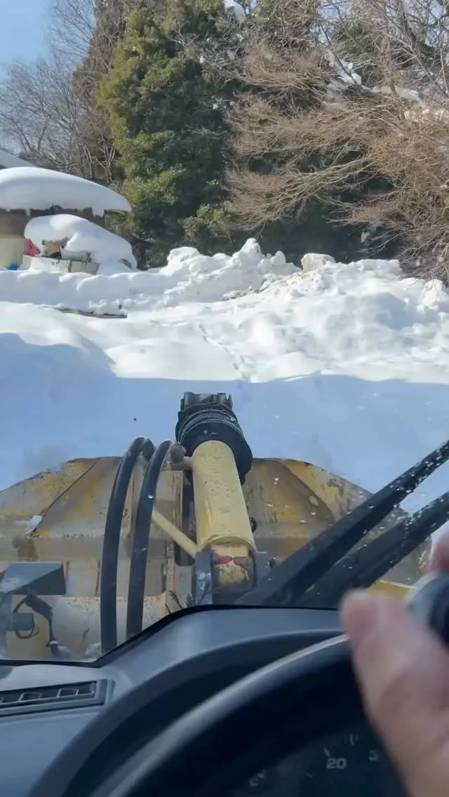 立春の今日は天気良好です♪