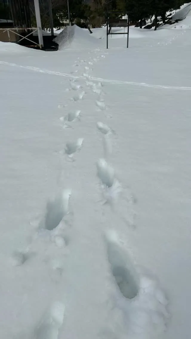 朽木ゴルフ倶楽部クローズ中です！