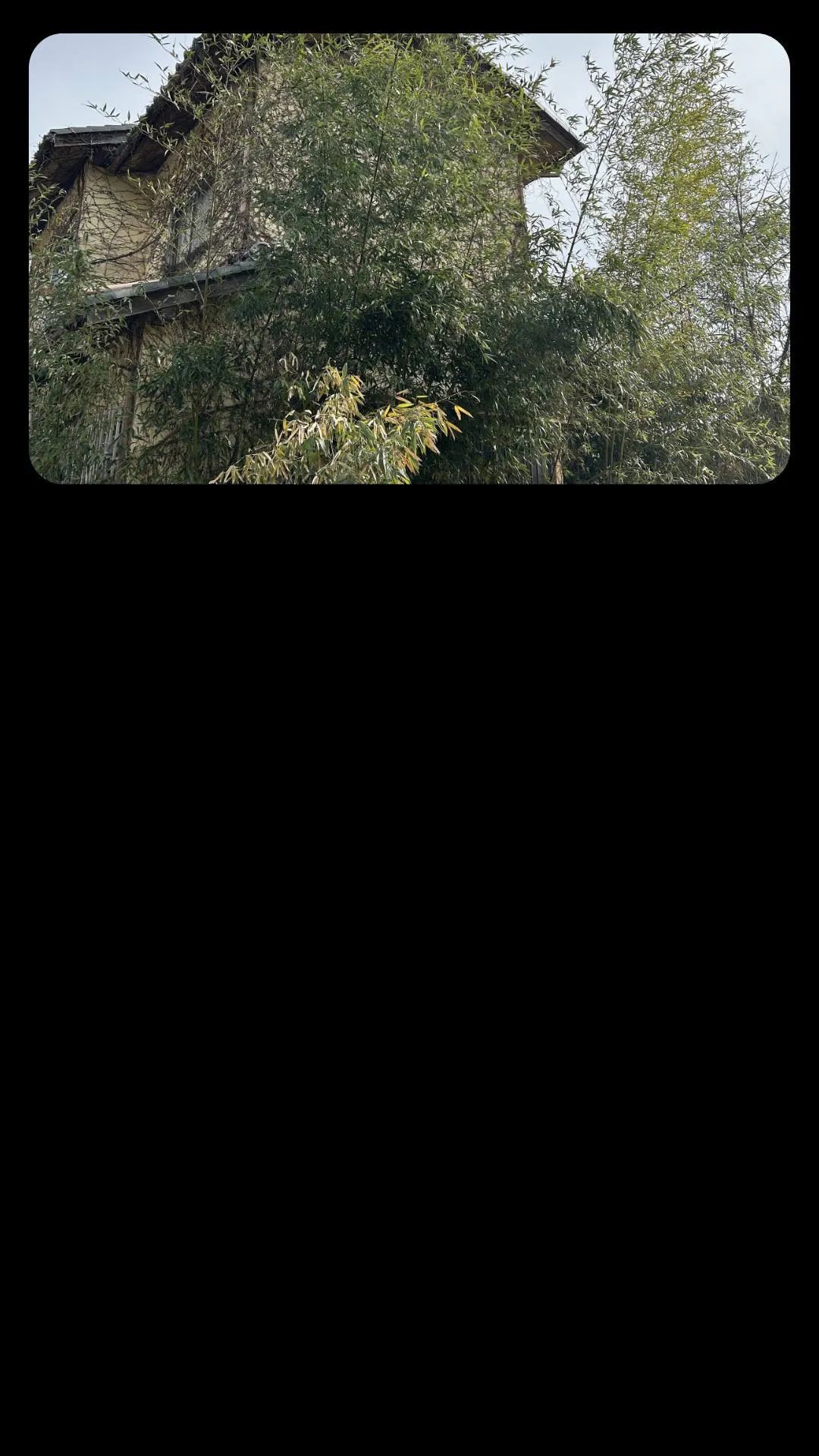 リモート対応にて、お庭とお家の周りの竹と木を伐採撤去致しまし...