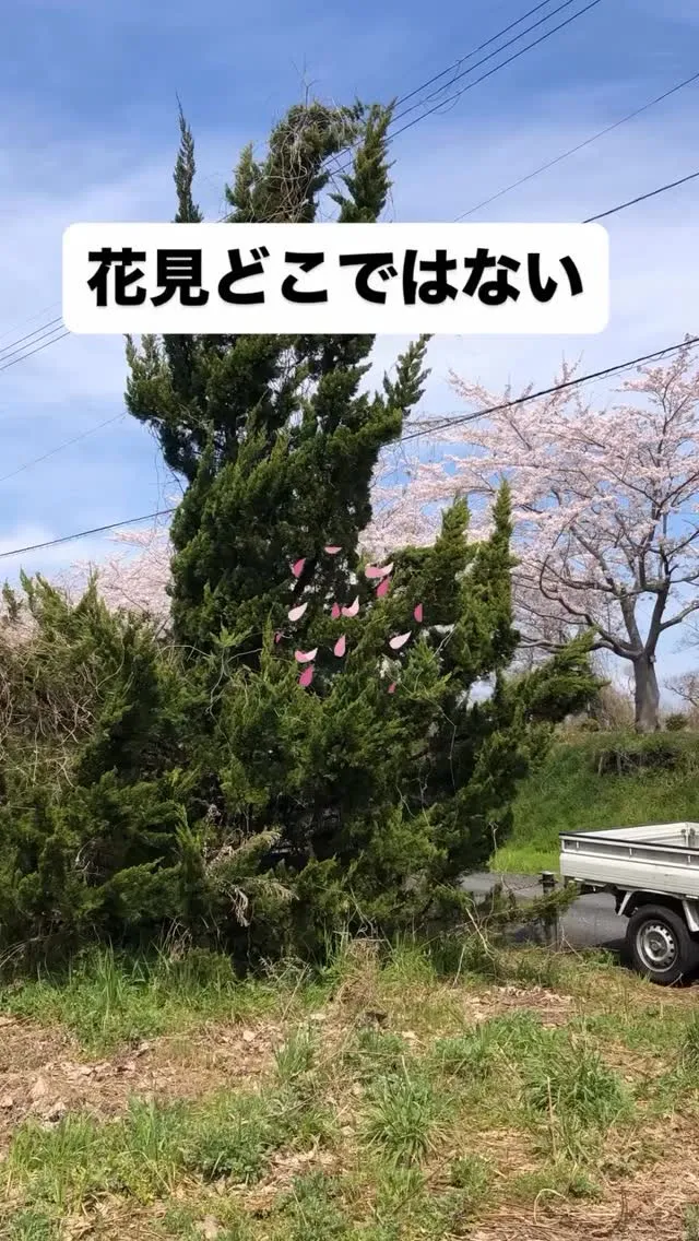 高島市新旭町の別荘を管理、修繕を承りました😀