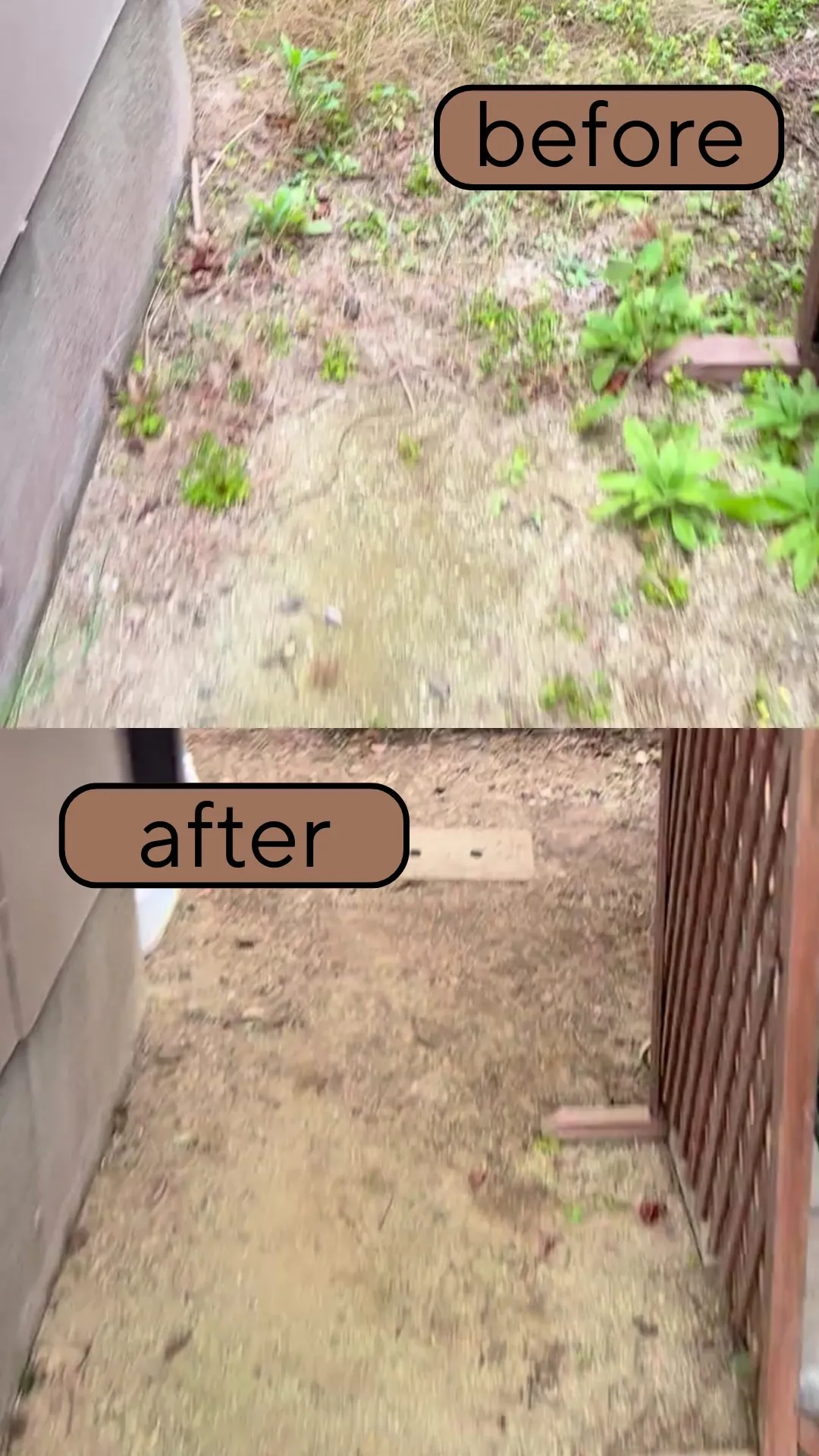 長浜市で草刈、剪定、抜根のご依頼をいただきました。