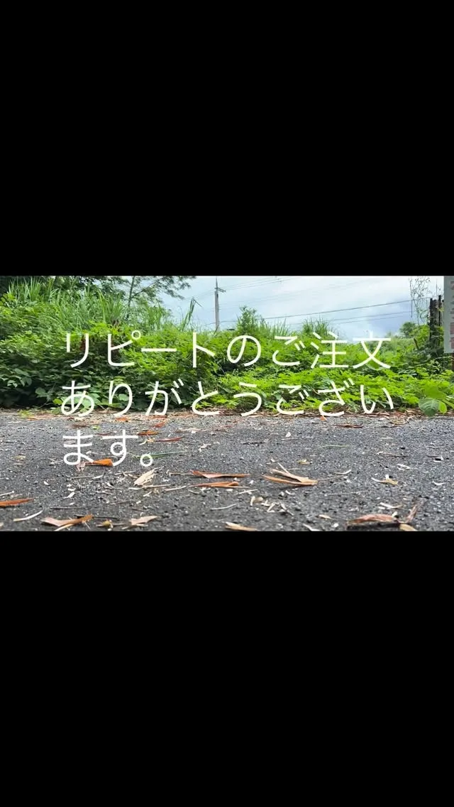 とても嬉しいお知らせ☺️