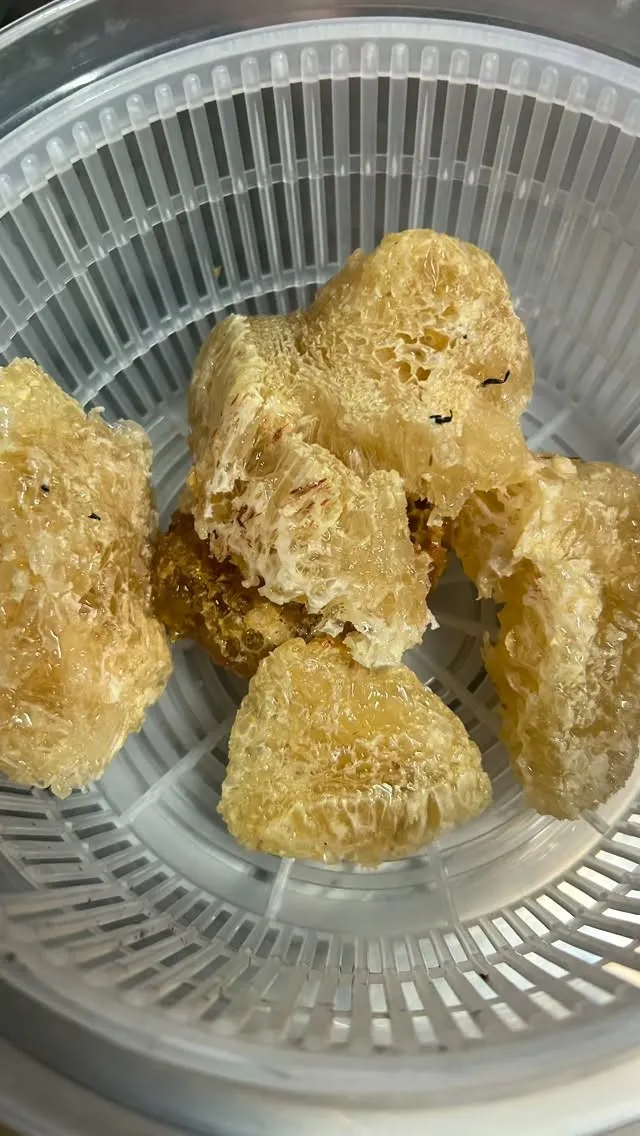 民家2階の天袋に蜜蜂が巣を作ってしまって！ハチミツが一階のリ...